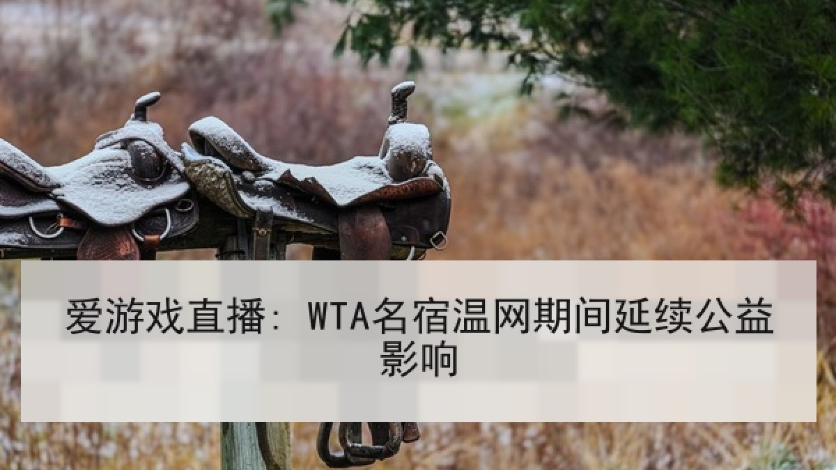 爱游戏直播: WTA名宿温网期间延续公益影响