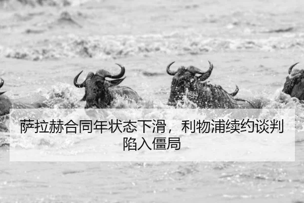 sa-la-he-he-tong-nian-zhuang-tai-xia-hua-li-wu-pu-xu-yue-tan-pan-xian-ru-jiang-ju-3-229.jpg